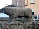 DO Toro